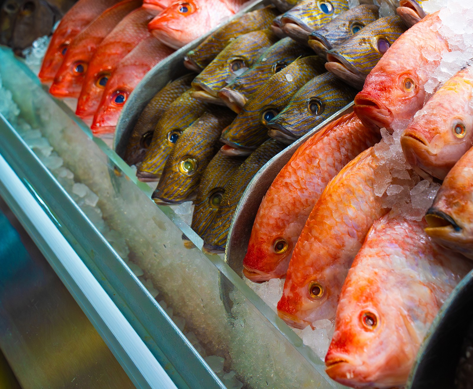 Fresh Fish That’s Safe, Clean, and Worth Your Money