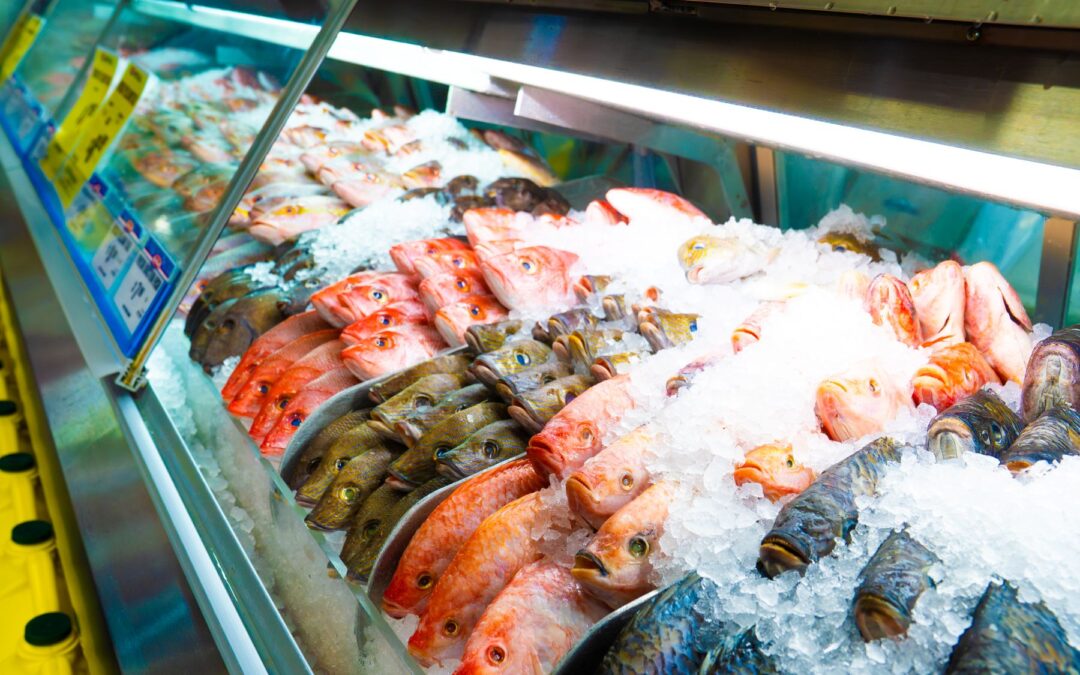 How Fort Lauderdale’s Fresh Fish Supply Supports Local Restaurants and Homes