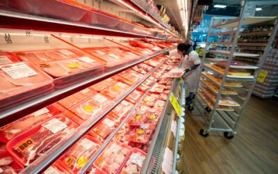 Why Fort Lauderdale Is One of Florida’s Top Cities for Seafood Lovers