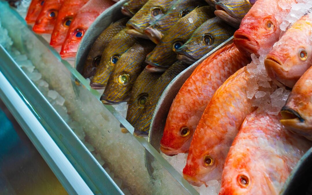 How to Choose the Best Fresh Fish Market in Fort Lauderdale